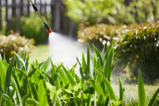 Tamper-Resistant Bait Stations for Rodents in Mehlville