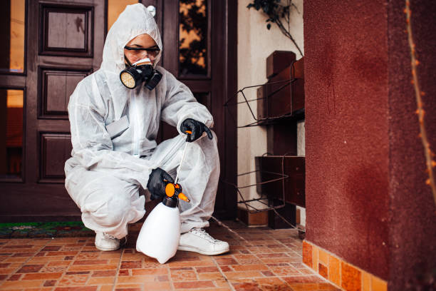 Attic and Crawl Space Rodent Treatment in Mehlville
