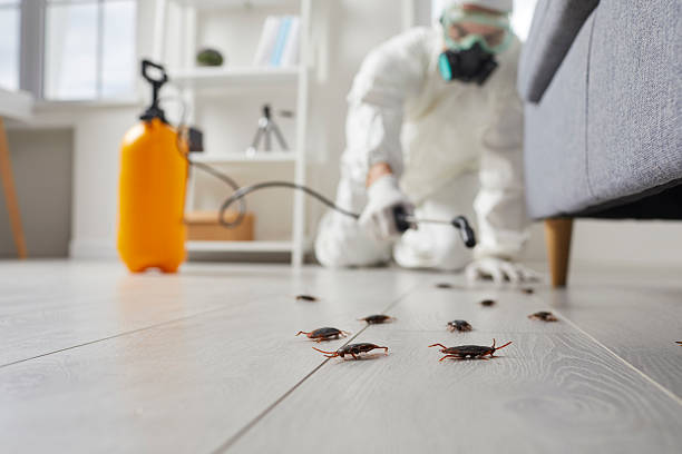 Commercial Rodent Management in Mehlville